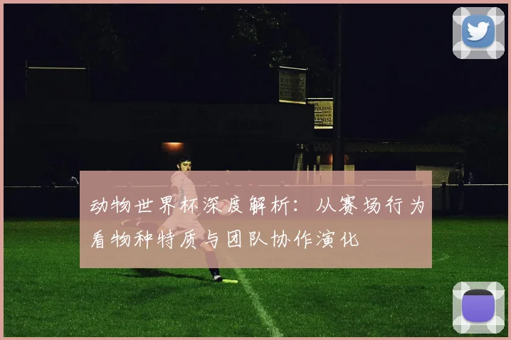 动物世界杯深度解析：从赛场行为看物种特质与团队协作演化