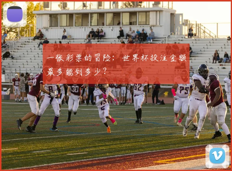 一张彩票的冒险：世界杯投注金额最多能到多少？