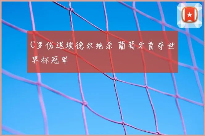 C罗伤退埃德尔绝杀 葡萄牙首夺世界杯冠军