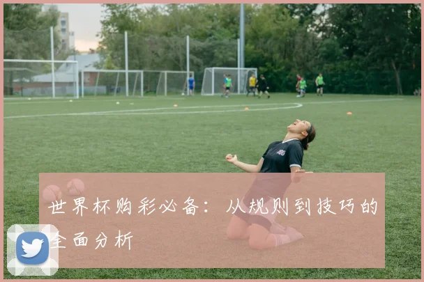 世界杯购彩必备：从规则到技巧的全面分析