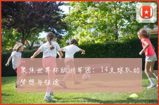 聚焦世界杯欧洲军团：14支球队的梦想与征途